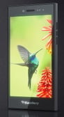 Blackberry Leap